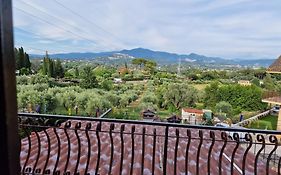 La casa tra gli ulivi di Fonte Nuova 2
